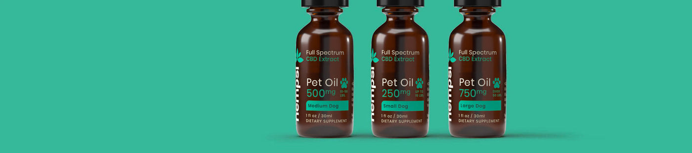 CBD for Pets | Hempsi Full Spectrum Live Oil CBD Tinctures for Cats and Dogs
