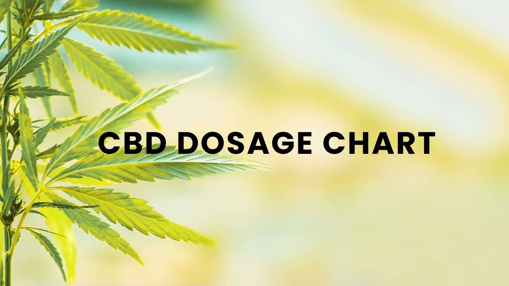 CBD Dosage Chart: Complete Guide