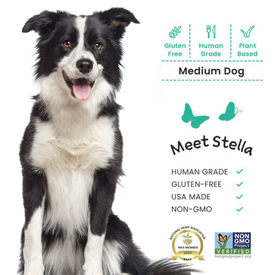 Pet Oil Drops - Full Spectrum Live Oil CBD for Dogs | Medium 25-50lbs - Hempsi